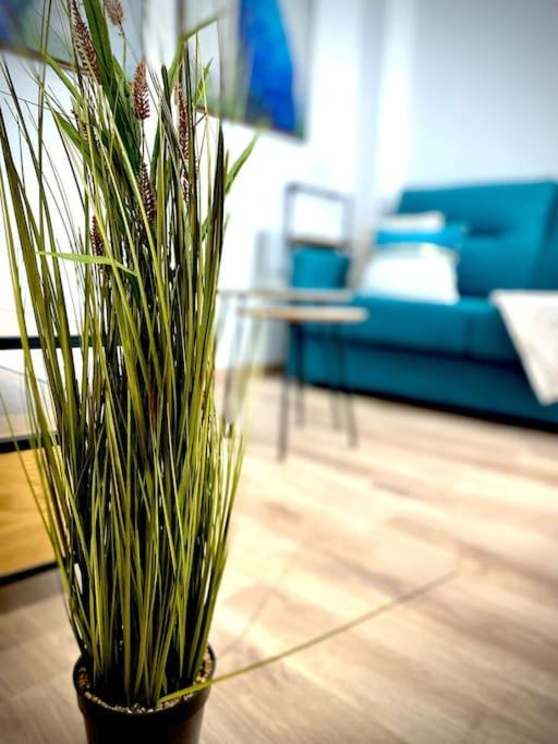Mychoice Salmarina Διαμέρισμα Rota Εξωτερικό φωτογραφία
